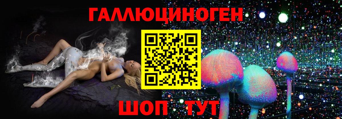 Красноперекопск  Галлюциногенные грибы Cubensis  Вход с VPN 